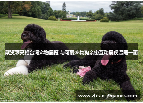 戴资颖亮相台湾宠物展览 与可爱宠物狗亲密互动展现温暖一面 戴资颖亮相台湾宠物展览 与可爱宠物狗亲密互动展现温暖一面